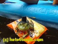 /home//u458753944/public_html/sourcegallery////Frogs/Bullfrogs 2016-08 Ontario/P8140141.JPG
